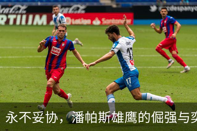 永不妥协，潘帕斯雄鹰的倔强与奕境的长期主义