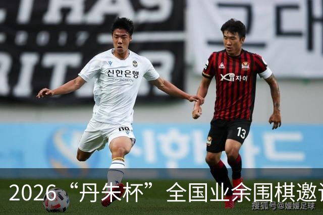 2026“丹朱杯”全国业余围棋邀请赛在长子启幕