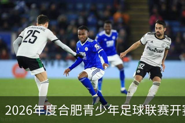 2026年度合肥青少年足球联赛开赛
